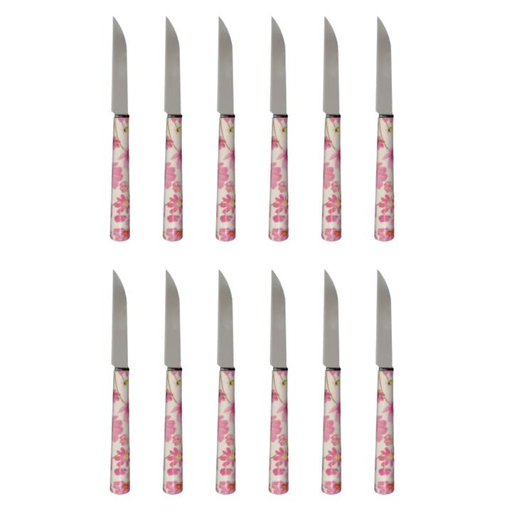 کارد میوه خوری دی ام جی مدل FLOWER-T بسته 12 عددی
